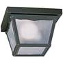 Quorum International 7" Black Outdoor Ceiling Mount