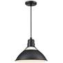 2_R-Series 13" Wide Satin Black Pendant Light