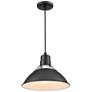 4_R-Series 13" Wide Satin Black Pendant Light more views