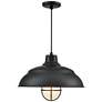 1_R-Series 17" Wide 1-Light Indoor/Outdoor Cord Hung Shade in Satin Black