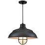 2_R-Series 17" Wide 1-Light Indoor/Outdoor Cord Hung Shade in Satin Black more views