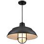 3_R-Series 17" Wide 1-Light Indoor/Outdoor Cord Hung Shade in Satin Black more views