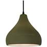 1_Radiance 11.5"W Matte Green Frame Matte Black Droplet Black Cord Penda