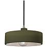 1_Radiance 12"W Matte Green And Nickel Black Cord Dish Pendant