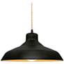 1_Radiance 13.5"W Carbon/Gold Frame Matte Black Loft Beige Twisted Penda