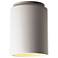Radiance - Cylinder Flush-Mount Flush-Mount - Bisque - Dedicated LED