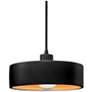 3_Radiance Dish 12" Wide Matte Black and Gold Mini Pendant