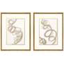 1_Radiant Spiral II 23"W x 29"H Framed Art Set of 2