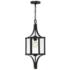 Raeburn Outdoor Hanging Lantern in Matte Black and Weathered Brushed Brass