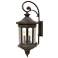 Raley 31 1/2"H Bronze Outdoor Wall Light by Hinkley Lighting