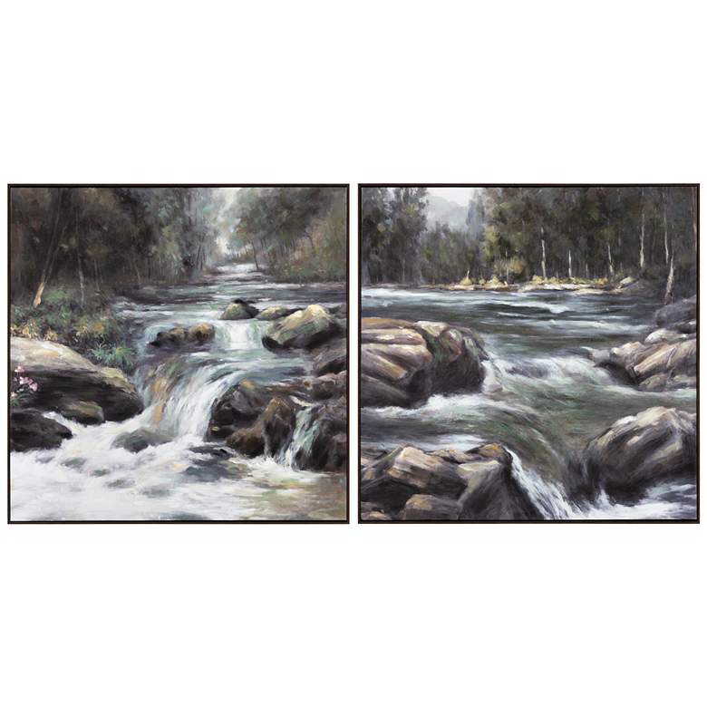 Image 1 Rapids Framed Canvas Set of 2