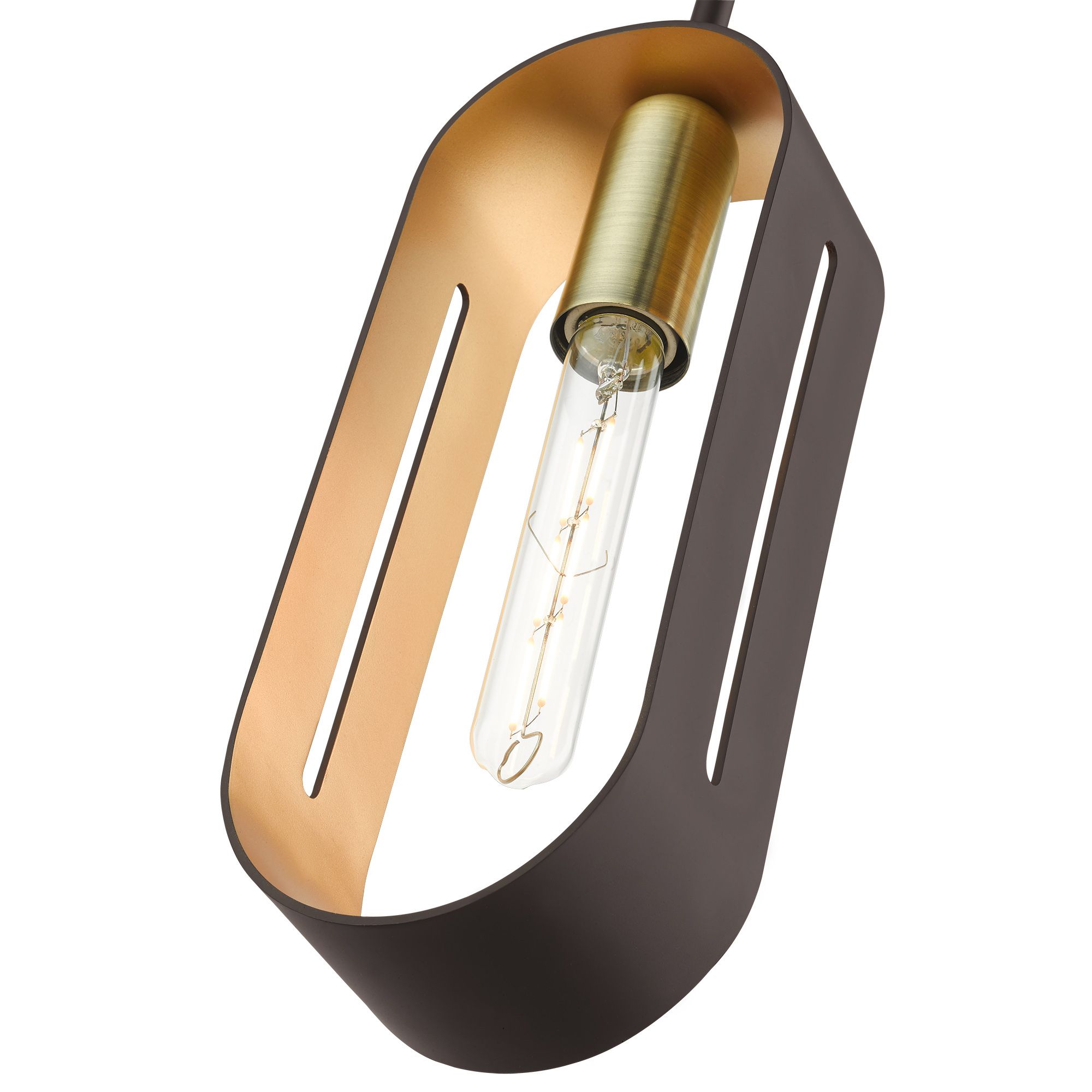 Raven 1 Light Bronze with Antique Brass Accents Pendant