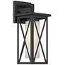 Watch A Video About the Raynor Black Outdoor Wall Light