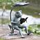 Reading Frog 18 1/2" High Birdfeeder Statue with LED Light
