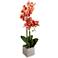 Real Touch Phalaenopsis Orchid 24" High Silk Potted Plant