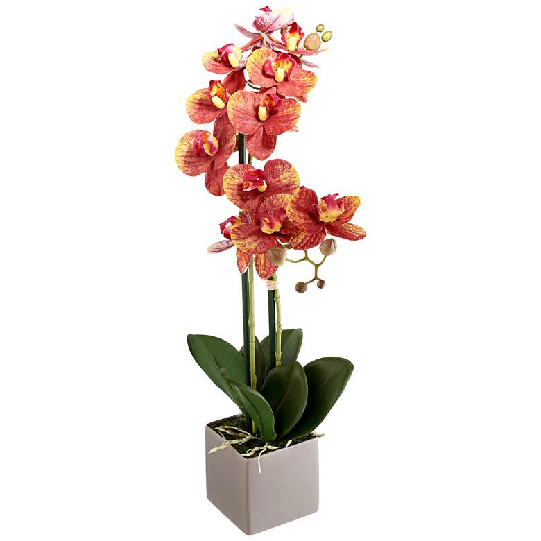 Image 1 Real Touch Phalaenopsis Orchid 24 inch High Silk Potted Plant