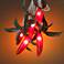 Red Chili Pepper 10-Light String Lights