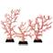 Red Coral Branches 19 1/4" High Sculptures Set of 3