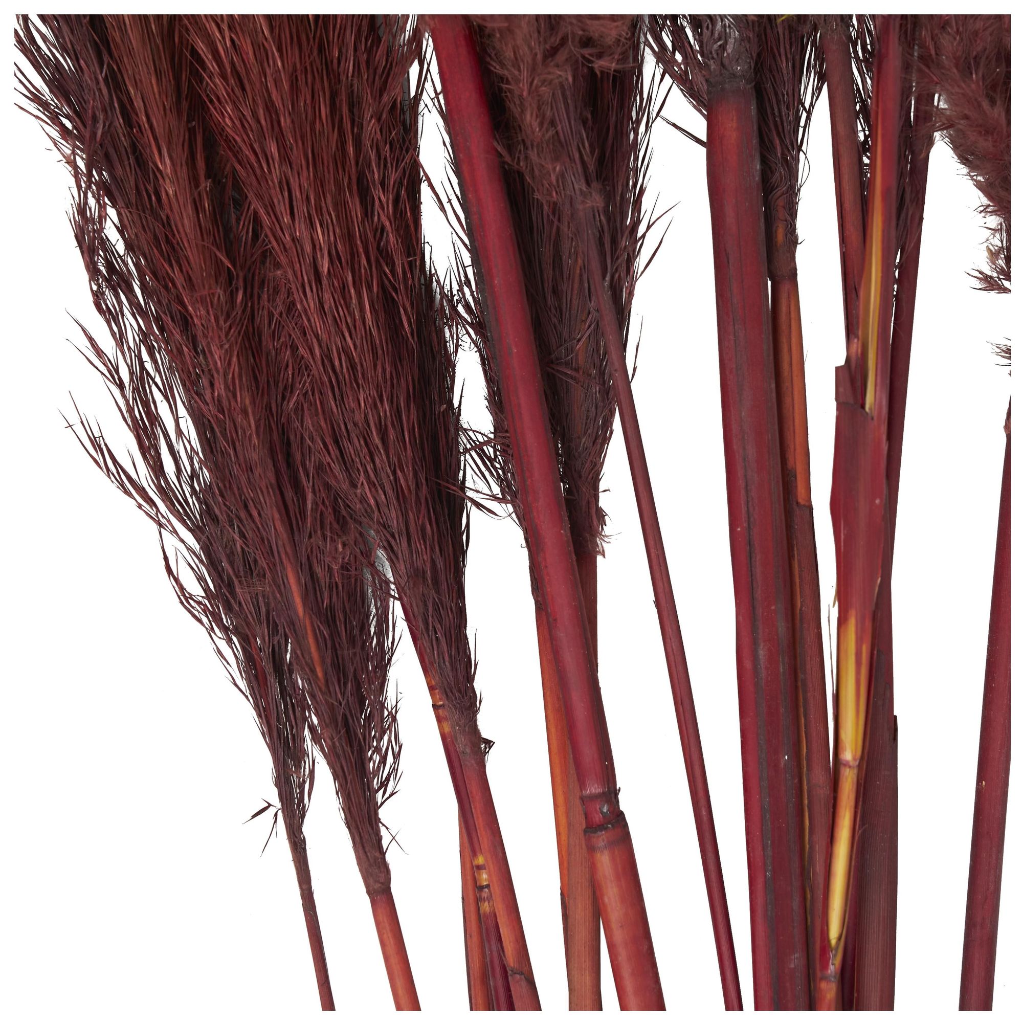 Image 2 Red Dried Plant Natural Natural Foliage, 7" x 3" x 43" more views