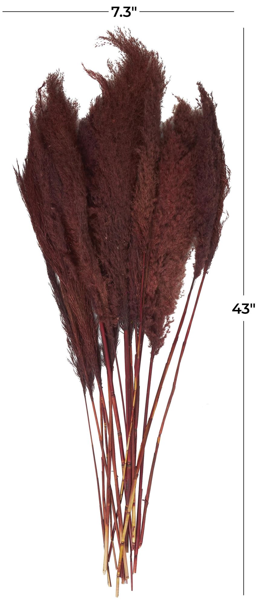 Image 6 Red Dried Plant Natural Natural Foliage, 7" x 3" x 43" more views
