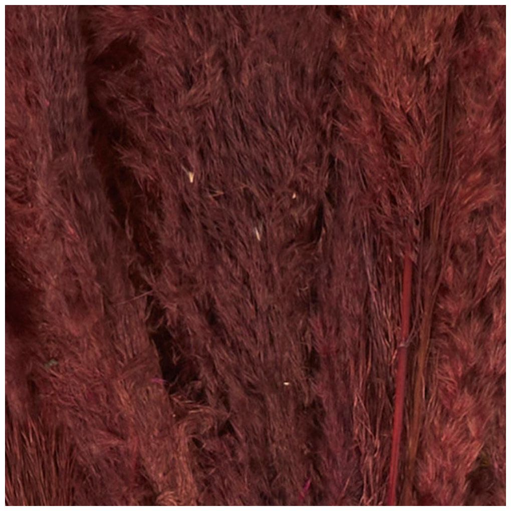 Image 7 Red Dried Plant Natural Natural Foliage, 7" x 3" x 43" more views