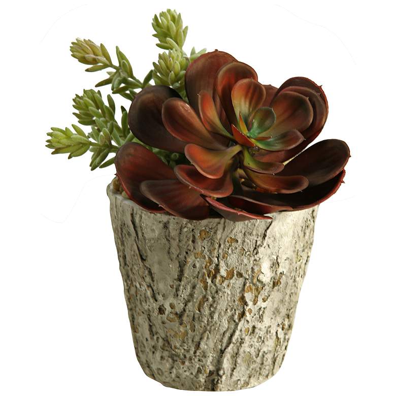 Image 1 Red Echeveria and Burro Tail 9 inch High Faux Plant