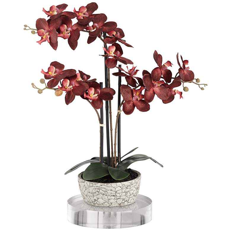 Image 1 Red Orchid 24 inchH Faux Flower With 8 inch Round Acrylic Riser