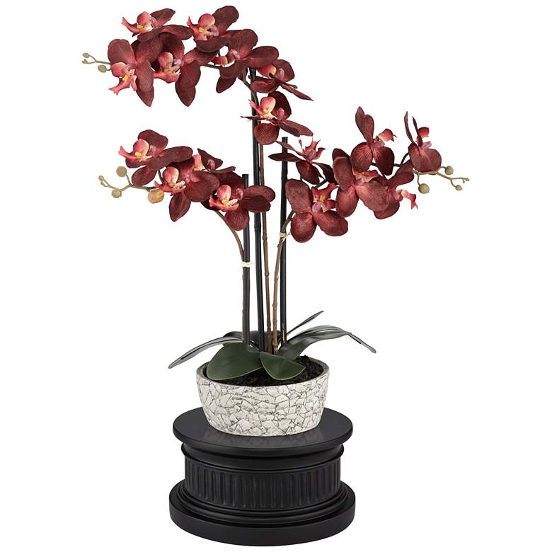 Image 1 Red Orchid 24"H Faux Flower With Black Round Riser