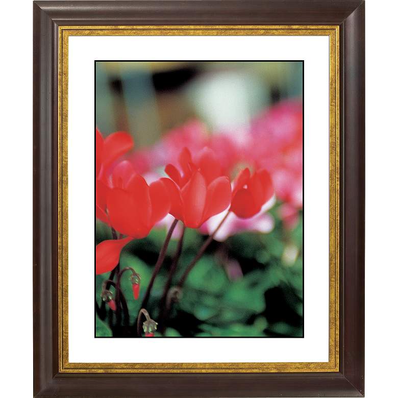 Image 1 Red Poppy Gold Bronze Frame Giclee 20 inch High Wall Art