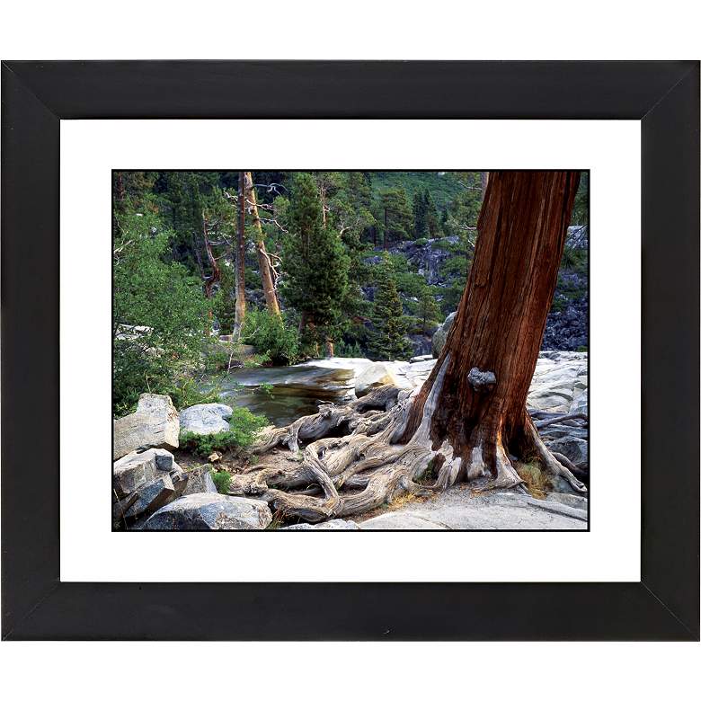 Image 1 Red Tree Black Frame Giclee 23 1/4 inch Wide Wall Art