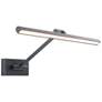 Reed 3"H x 24.5"W 1-Light Picture Light in Black