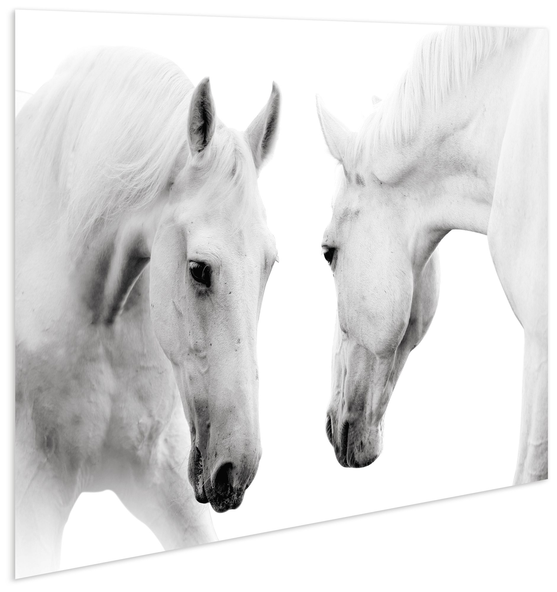 Image 2 Reflection" Frameless Free Floating Tempered Glass Wall Art more views