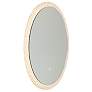 5_Reflections 23.6" Wide Clear Mirror more views