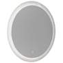 2_Reflections 23.6" Wide Frost Mirror