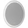 Reflections 23.6" Wide Frost Mirror
