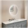 4_Reflections 23.6" Wide Frost Mirror more views