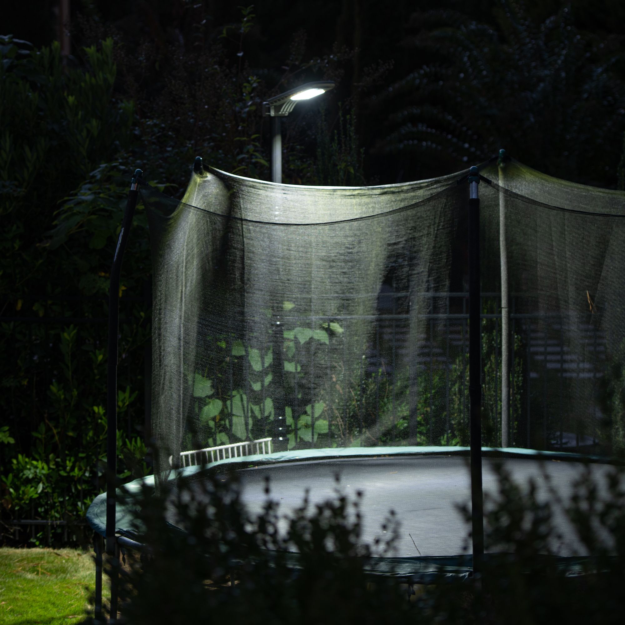 Watch A Video About the Refuge Dark Gray Motion Sensor Solar LED Security Light