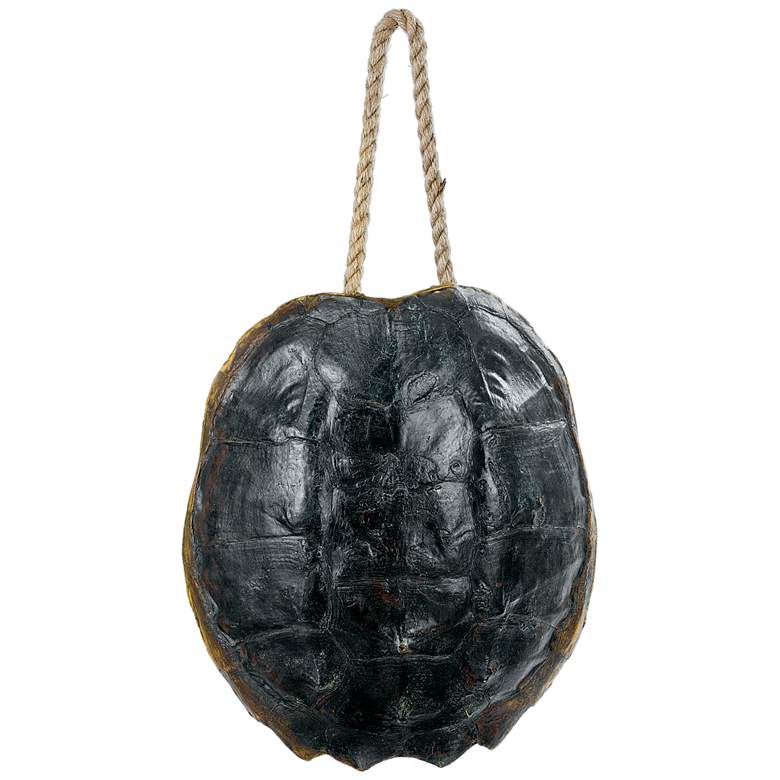 Image 1 Regina Andrew Design 13" High Natural Turtle Shell Wall Art