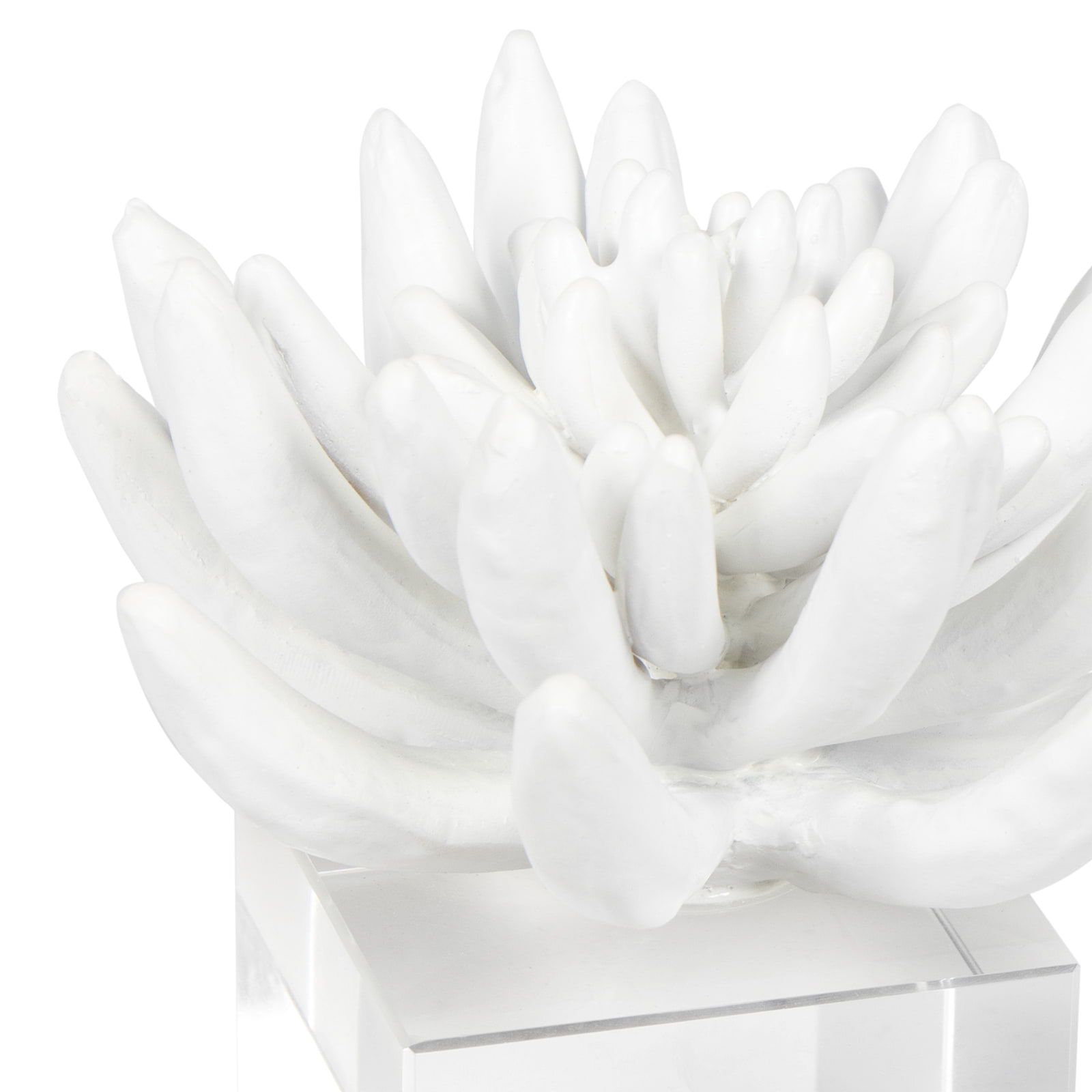 Image 5 Regina Andrew Design Succulent 5 1/2" Wide White Figurine more views
