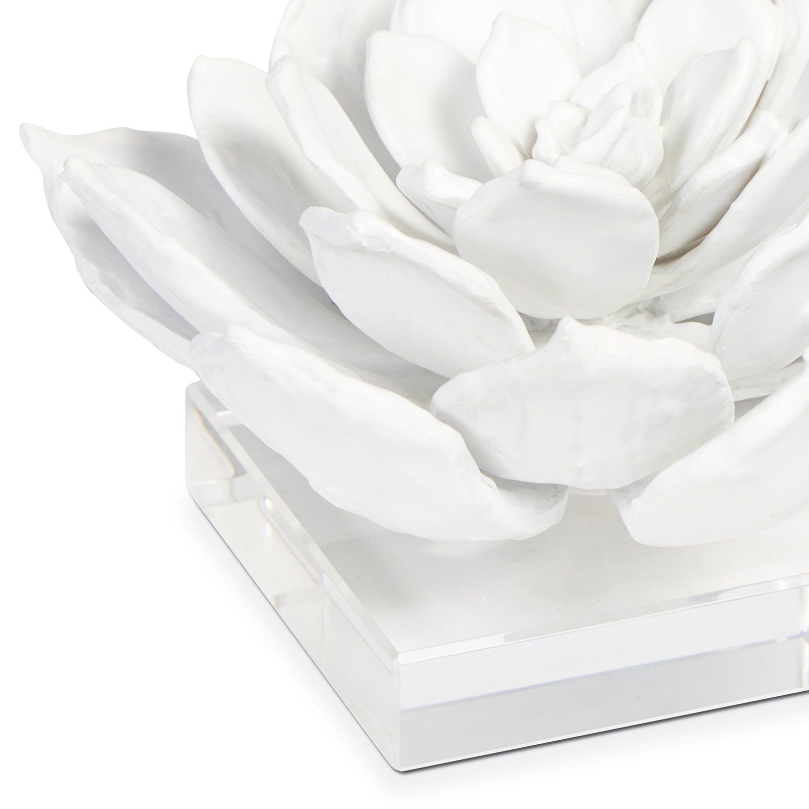 Image 3 Regina Andrew Design Succulent 7 1/2" Wide White Figurine more views