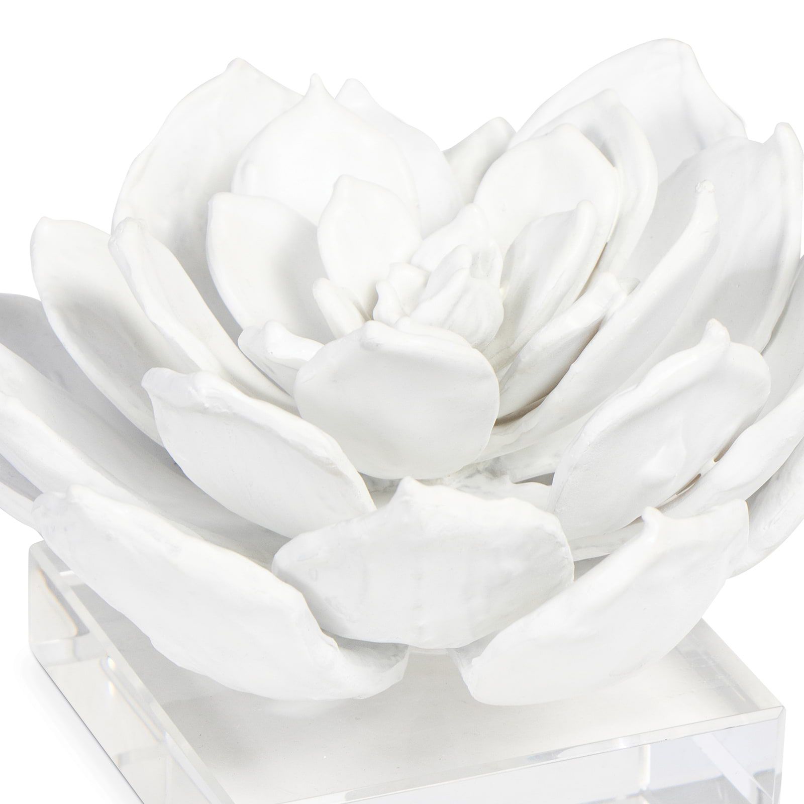 Image 4 Regina Andrew Design Succulent 7 1/2" Wide White Figurine more views