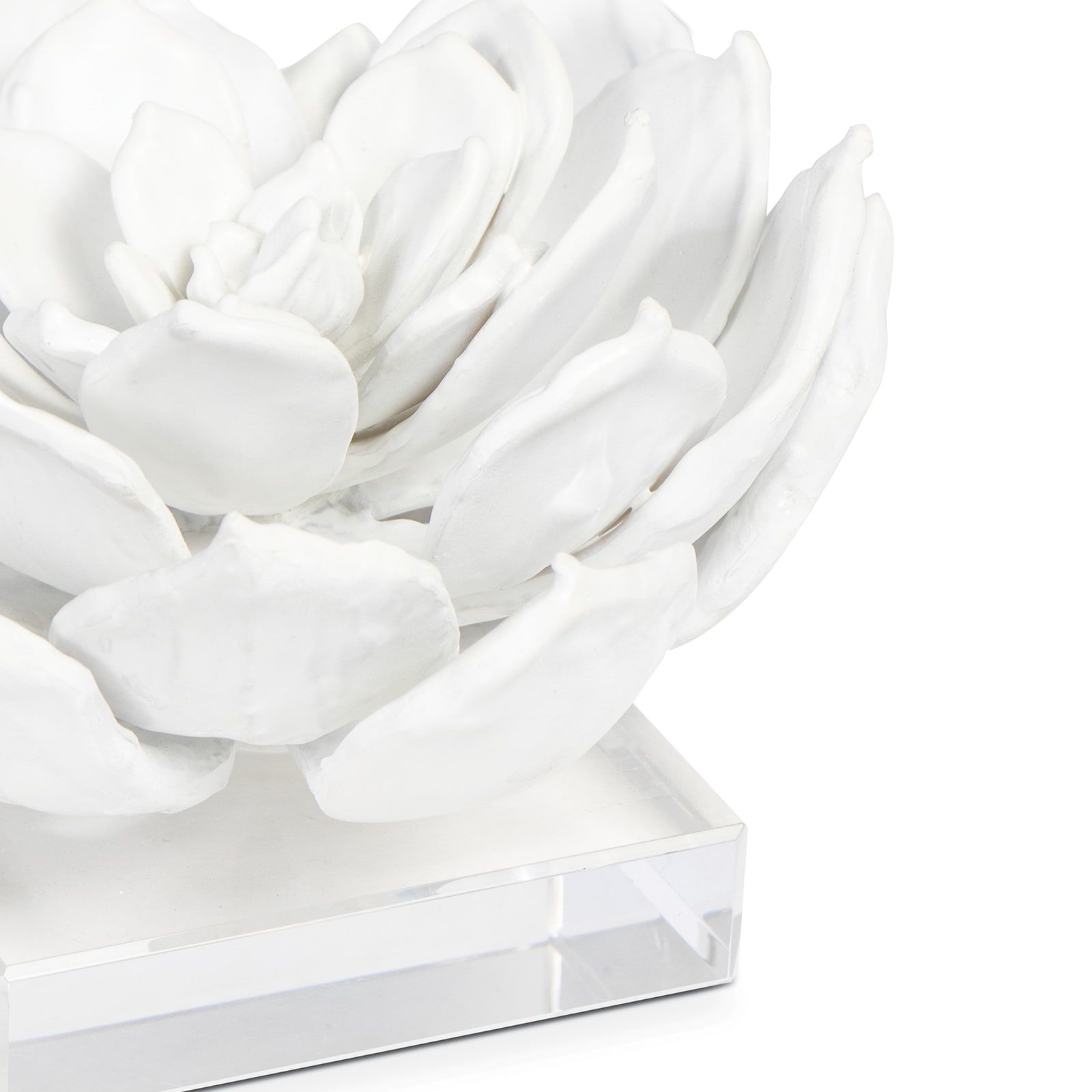 Image 5 Regina Andrew Design Succulent 7 1/2" Wide White Figurine more views