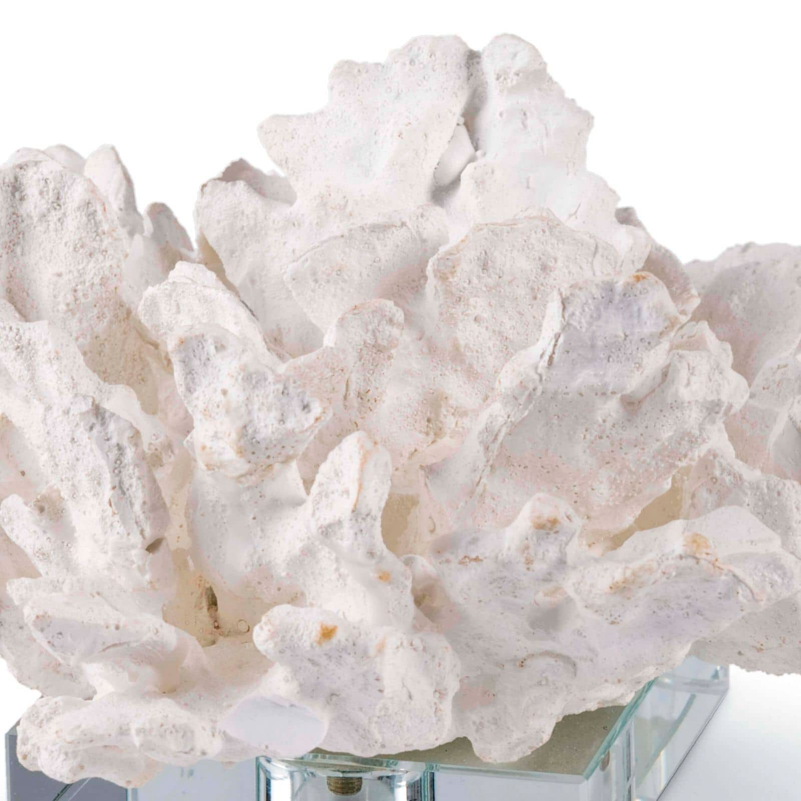 Image 6 Regina Andrew Flower Coral On Crystal Base (White) 4.5 Height more views