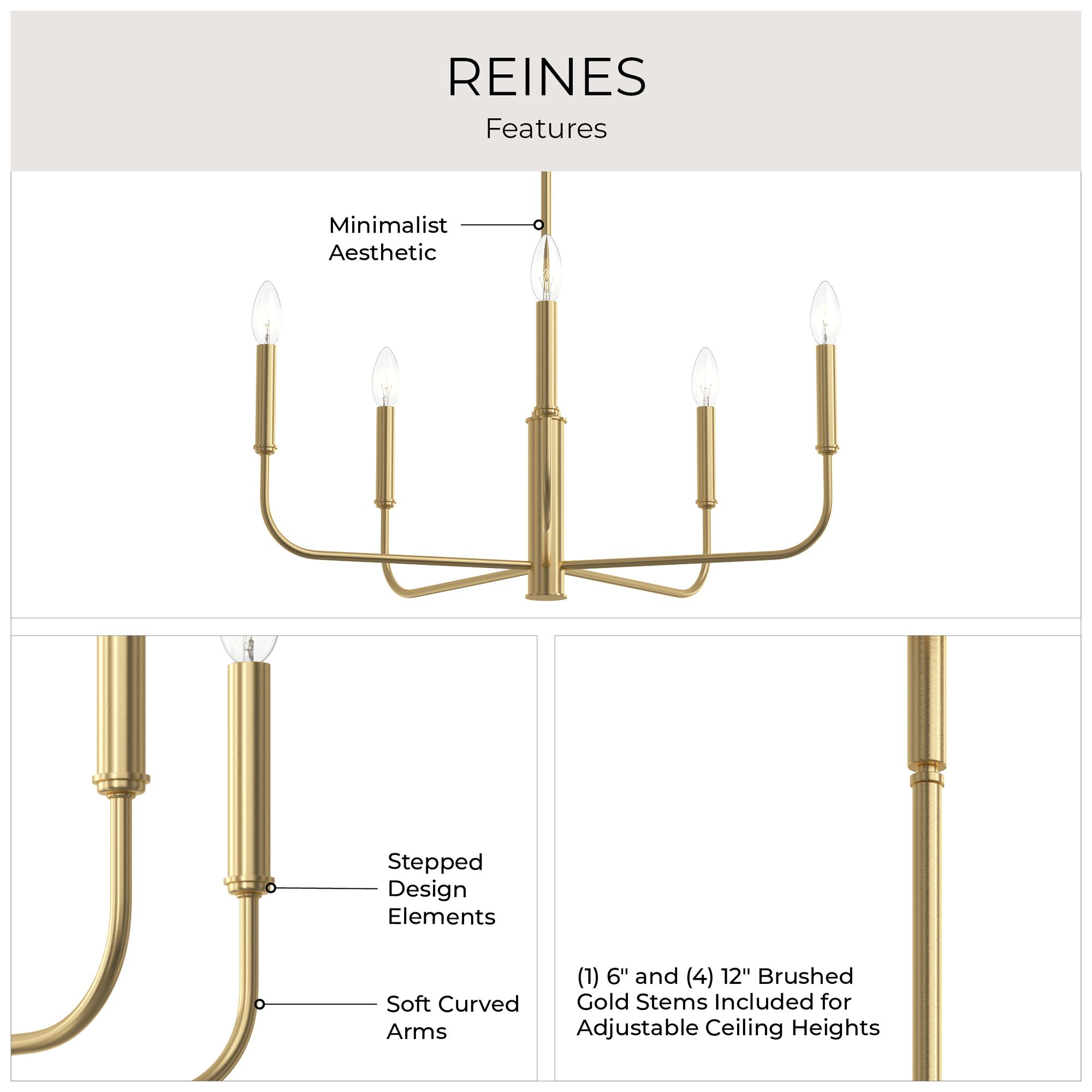Reines Five-Light Medium  Chandelier