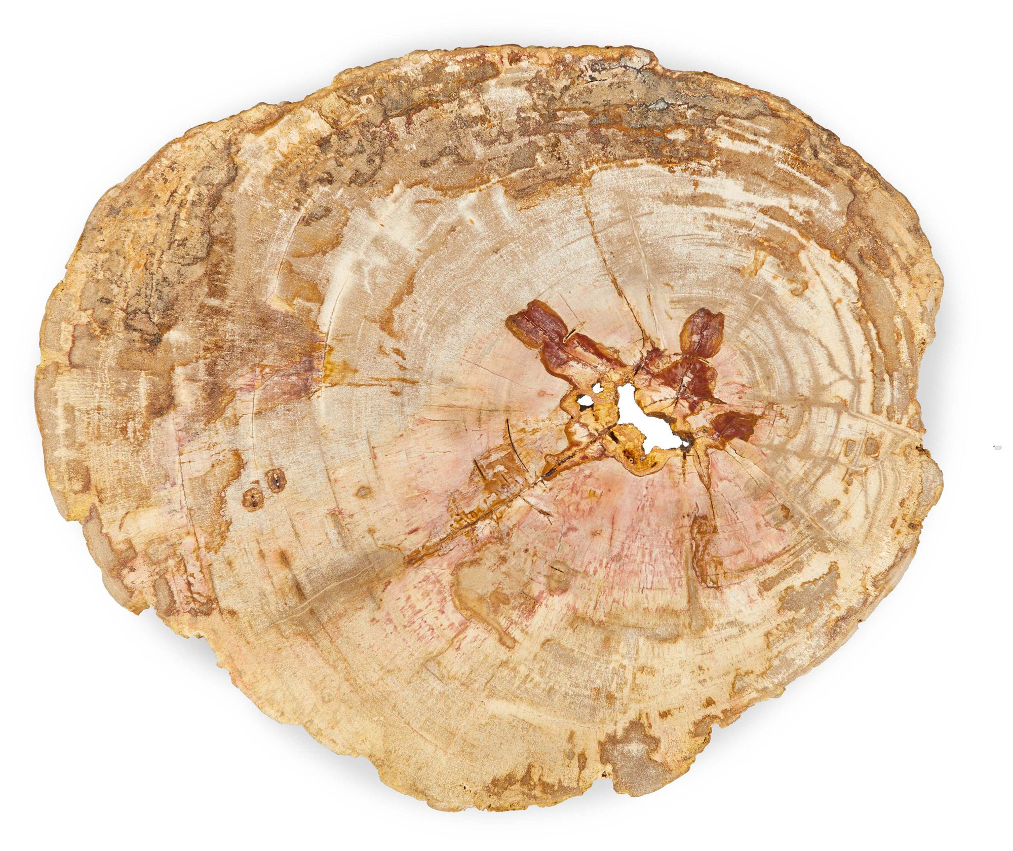 Image 6 Relique Eliza 18"W Natural Light End Table Polished Stainless Steel Frame more views