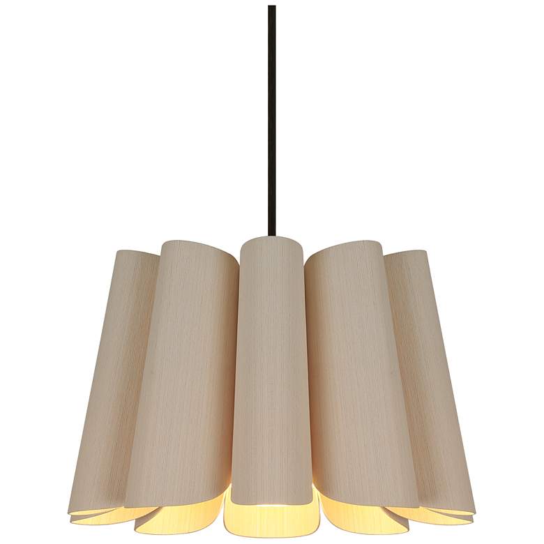 Image 1 Renata Pendant WEP Light Collection - Black Finish - Ash Shade