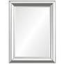 2_Renwil Quite 30" x 40" Silver Leaf Rectangular Wall Mirror