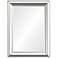 Renwil Quite 30" x 40" Silver Leaf Rectangular Wall Mirror