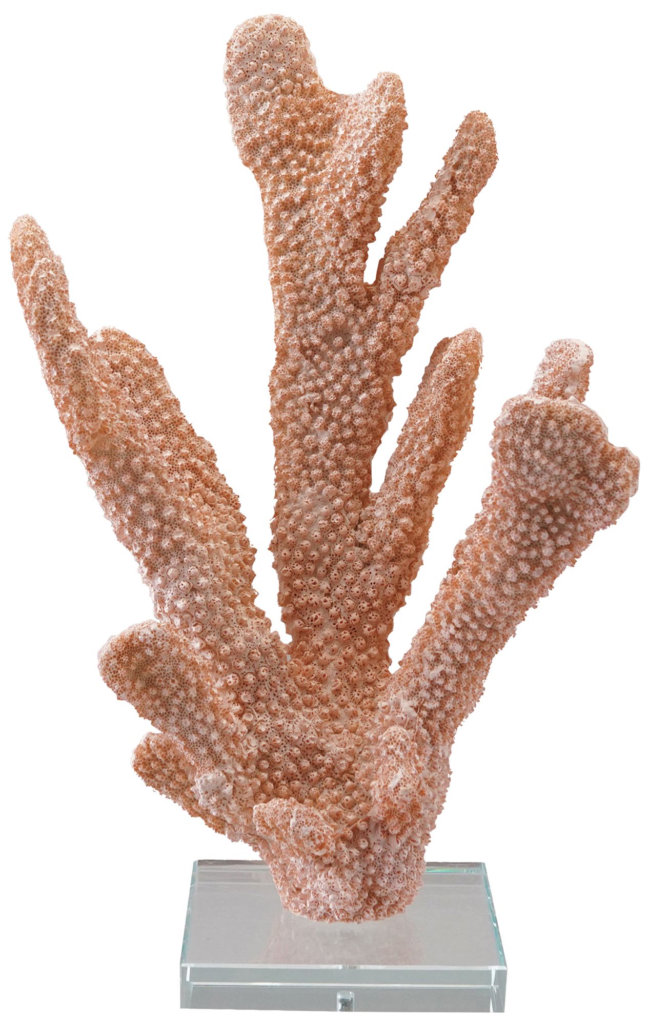 Image 2 Resin Coral Decor with Glass Base, Coral Color