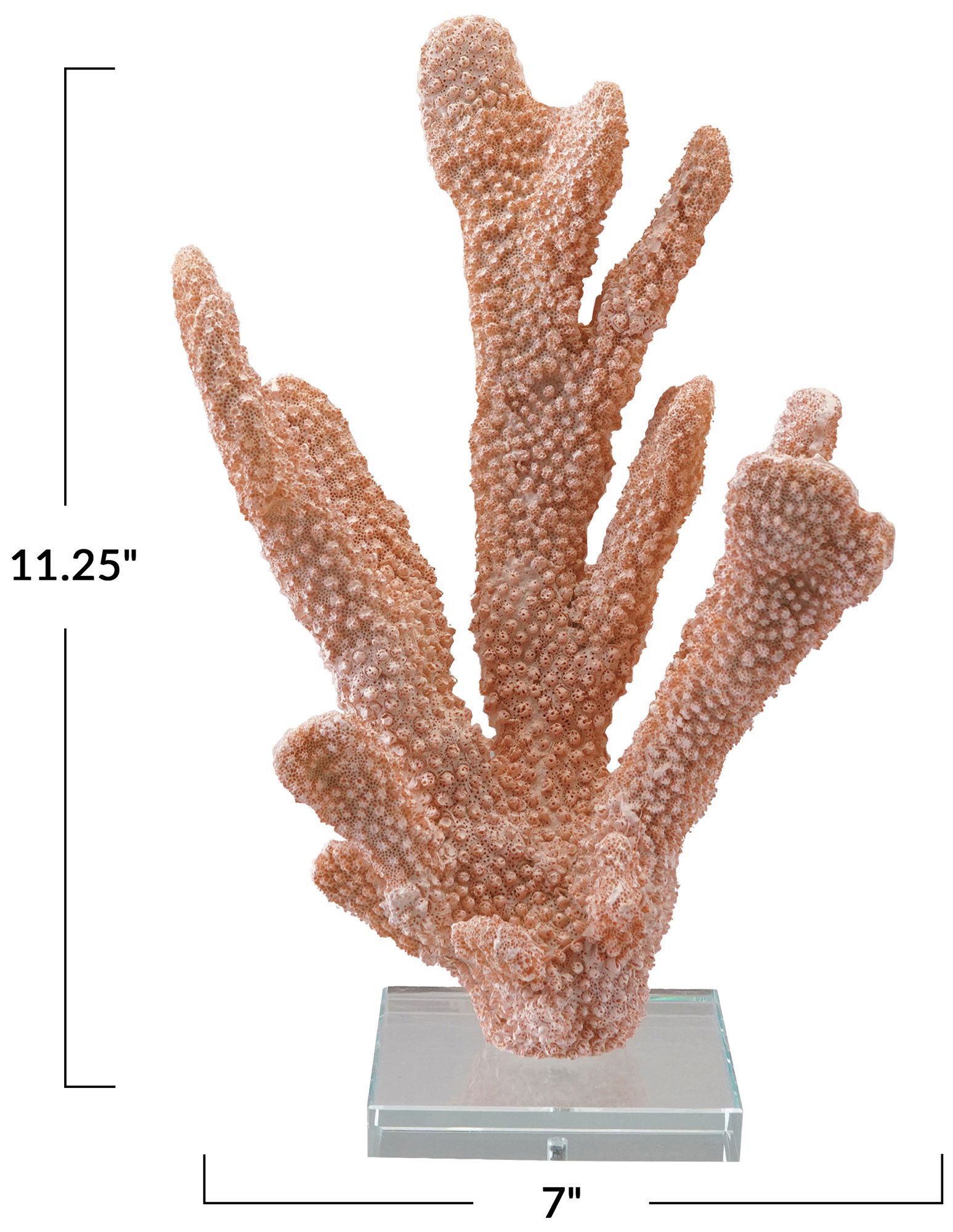 Image 3 Resin Coral Decor with Glass Base, Coral Color more views